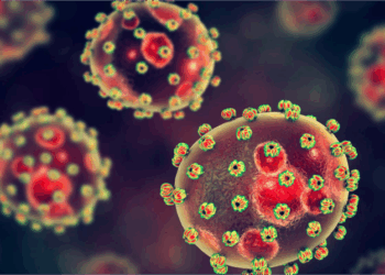 Lassa Fever: Nigeria Records Surge In Cases; Deaths Hit 162 In August