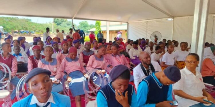 Nigeria Includes Chinese Language to Senior Secondary Curriculum 