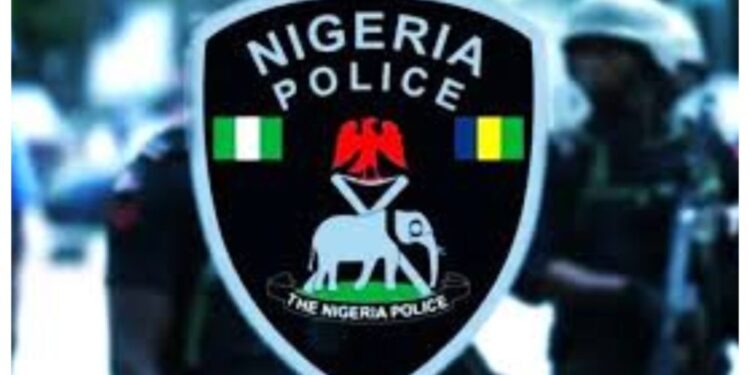 Police Recover Stolen Vehicles, Arrest Suspect In Yobe