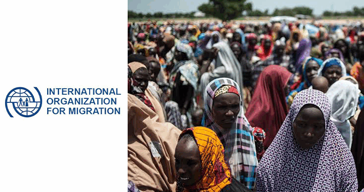 1.3 Million People Displaced By Insecurity In North-West – IOM