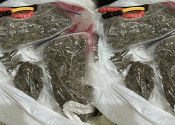 NCoS Foils Drug Smuggling Attempt At Kuje Prison