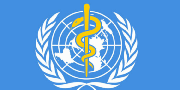 Sudanese War: UN Experts Decry Attacks On Civilians