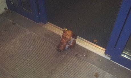 Pig Heads Found at Paris Mosques Spark Outrage