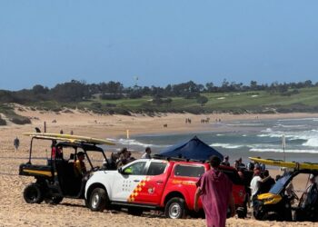 Man Dies Following Sydney Shark Attack, First Case This Year
