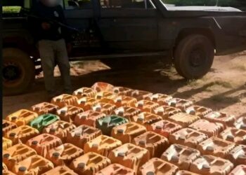 Police Foil Petrol Smuggling Attempt, Intercept Over 100 Jerrycans
