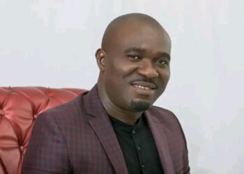 Udeh-Okoye Accuses Damagum, Anyanwu of Plotting to “Bury PDP