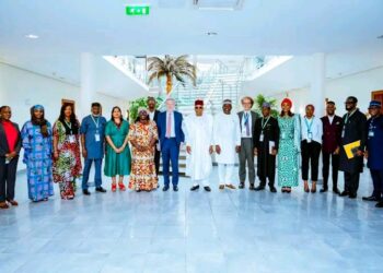 FG Targets 20,000 Jobs Annually Through NJFP