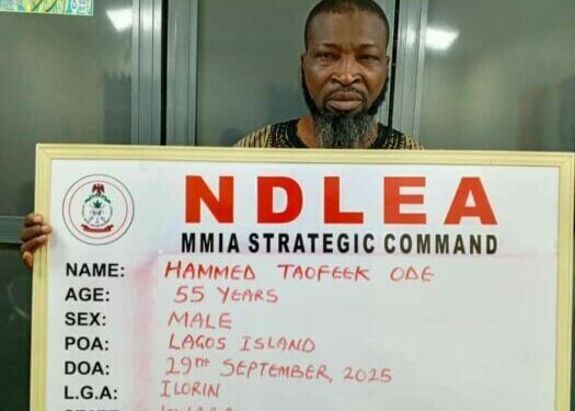 NDLEA Smashes Cocaine Cartels Behind 6 UK-bound Shipments, Arrests Arrowhead, 5 Others