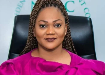 NIMC Is Building Nigeria’s Digital Public Infrastructure, DPI — Odusote