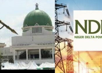 Reps Commend NDPHC for High Safety Standards At Calabar Power Plant
