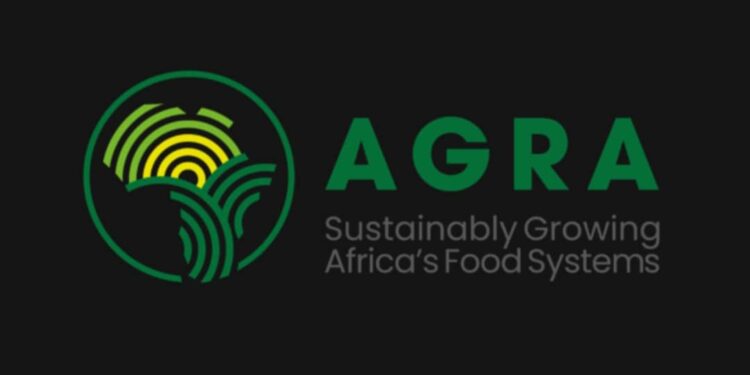 AGRA Director Narrows in on the Economics of Soil Health: Linking Nutrients to Income for Scale