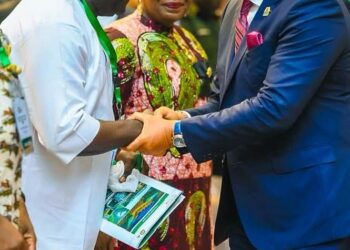 Akwa Ibom Hosts Electricity Summit, Vows to End Power Crisis