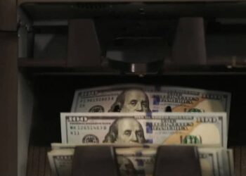 Africa’s COMESA Launches System That Allows Trade Payments in Local Currencies Instead Of US Dollar