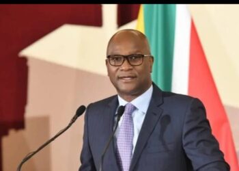 South Africa Repatriates Ambassador Mthethwa’s Body After ‘Traumatic’ Death in Paris