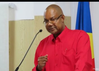 Gabon President’s Party Wins a Third of Legislative Seats