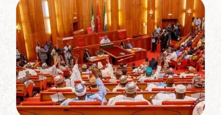 Senate Approves Life Imprisonment for Child Defilement Offenders