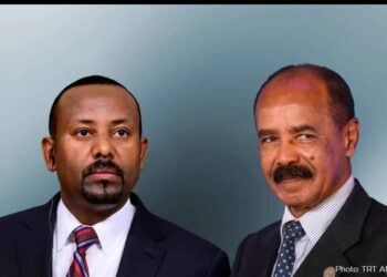 Ethiopia Calls For International Mediation with Eritrea Over Sea Access