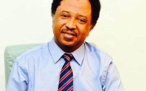 Comrade in Courage: Tribute to Senator Shehu Sani at 58