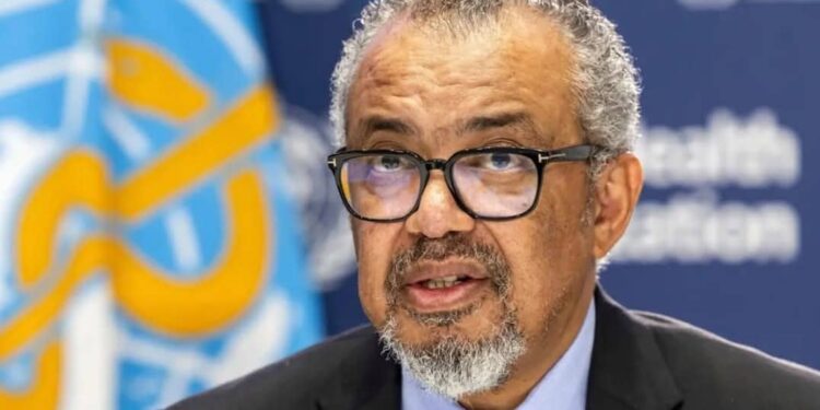 WHO Urges Ceasefire in Sudan Following Deadly Attacks On Al Fasher Hospital