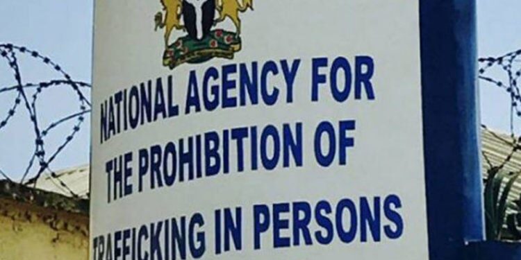 5 Suspected Human Traffickers Arrested by NAPTIP at Abuja Airport