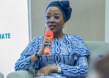 Nigeria Seeks $25 Billion to Power Its Net-Zero Transition by 2030