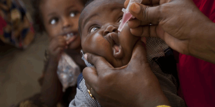 3,000 Households Refuse Polio Immunisation in Sokoto, Kebbi, Zamfara – UNICEF