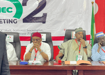 PDP Postpones NEC Meeting Amid Defections