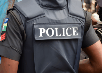 Police Arrest 10 Suspects For Thuggery, Recover Weapons in Minna