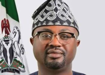 FG Reviewing Citizenship Application of 170 Foreigners, Says Interior Minister