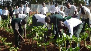 FG Urges Schools To Adopt Young Farmers’ Clubs To Boost Food Production