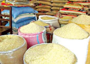 Niger Govt, IFAD Records Milestones in Rice, Cassava Value Chains