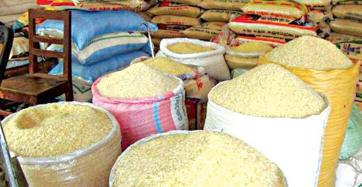 Niger Govt, IFAD Records Milestones in Rice, Cassava Value Chains