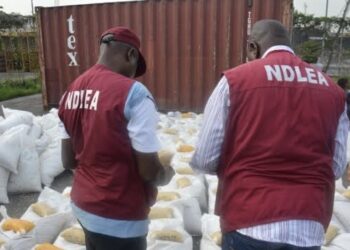 NDLEA Arrests Wanted Drug Baron, Recovers Large Drug Shipment in Lagos