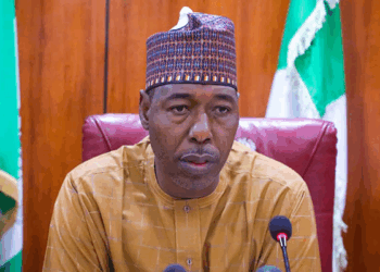Gov. Zulum Distributes Inputs to Wheat Farmers