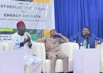 Why Cost-Reflective Pricing Of Electricity Can’t Be Automatic – GenCo MD