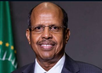 African Union urges ‘International Action’ on Mali Terrorist Fuel Blockade