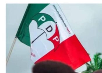 PDP Chairmen Back Abdulrahman, Ohuabunwa for Party Renewal