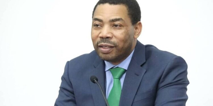 Tanzanian President Samia Appoints Ex-finance Minister Nchemba as New PM