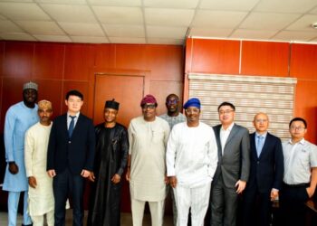 Nigeria, Chinese Firm, Endurance Group, Seal Deal for 500 CNG Stations Nationwide