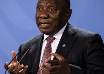 G20 Summit in South Africa: A Test for Multilateralism