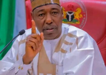 Zulum in India: Gives N500,000 to Each Borno Student