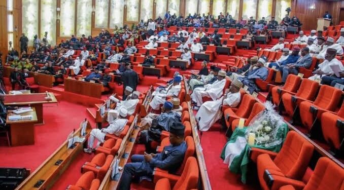 Senate Approves Informal Sector Employment Regulation Bill