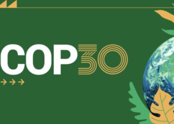 COP30: Global Investments Project $1 Trillion For Grids, Storage by 2035