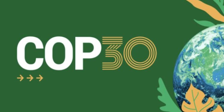 COP30: Global Investments Project $1 Trillion For Grids, Storage by 2035