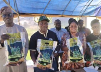 Lagos Unveils Biofortified Rice to Address Micronutrient Deficiency