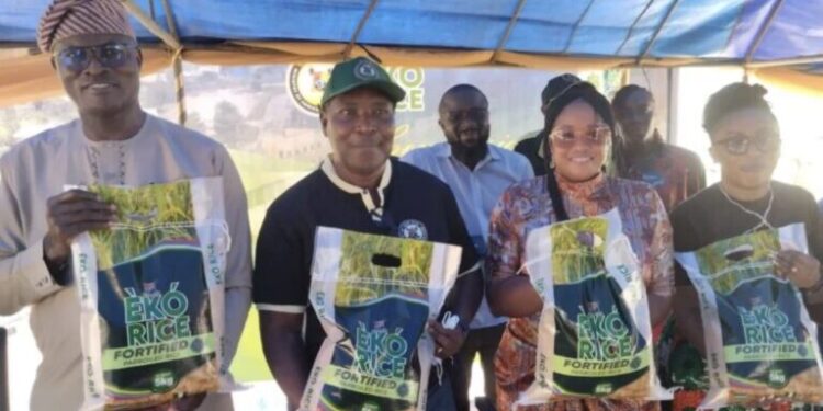 Lagos Unveils Biofortified Rice to Address Micronutrient Deficiency