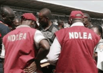 NDLEA Arrests Saudi-bound Wanted Drug Lord in Lagos