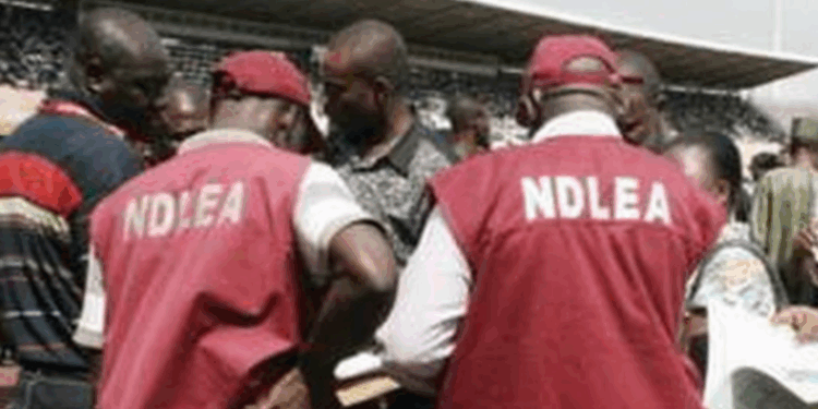 NDLEA Arrests Saudi-bound Wanted Drug Lord in Lagos