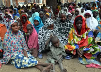 About 35 Million Nigerians Could Go Hungry by june 2026 – FAO