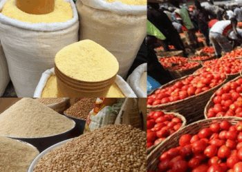 Prices of Rice, Beans, Garri, Tomatoes, Others Crashed Further in September 2025 – NBS